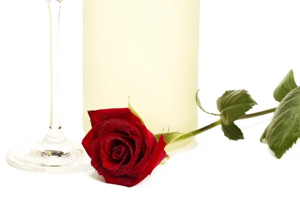 Rosa rossa bagnata davanti a una bottiglia di prosecco e un bicchiere di champagne — Foto Stock