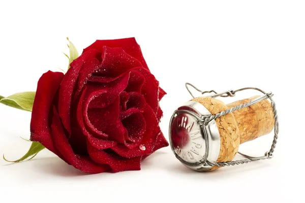 Wet red rose and a cork — Stock Photo, Image