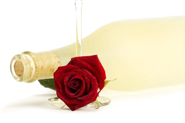 Rosa roja mojada con una copa de champán vacía delante de una botella de prosecco —  Fotos de Stock