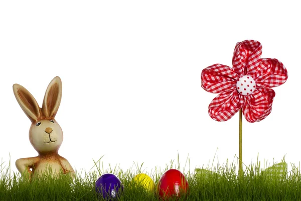 Conejo de Pascua detrás de la hierba con flores y huevos de Pascua —  Fotos de Stock