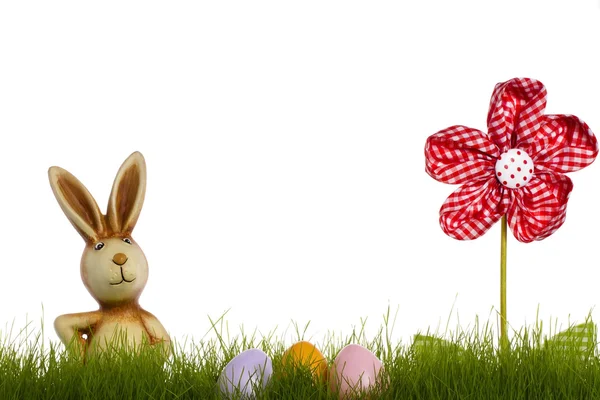 Easter Bunny Grass Drapery Flower Easter Eggs White Background — Stock Photo, Image