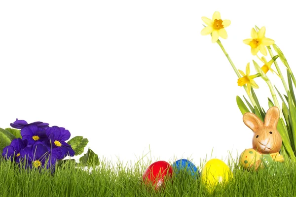 Small easter bunny with easter eggs daffodil and primula — Stock Photo, Image