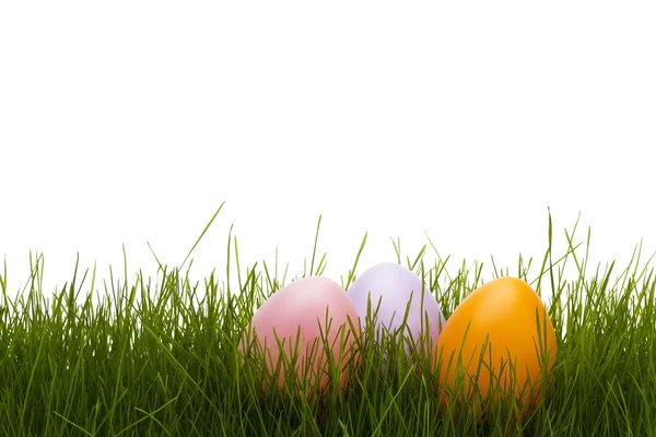 Three Pastel Easter Eggs Grass White Background — Stock Photo, Image