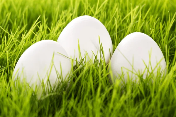Три белых пасхальных яйца в траве — стоковое фото