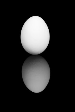 White egg on black background with reflection clipart