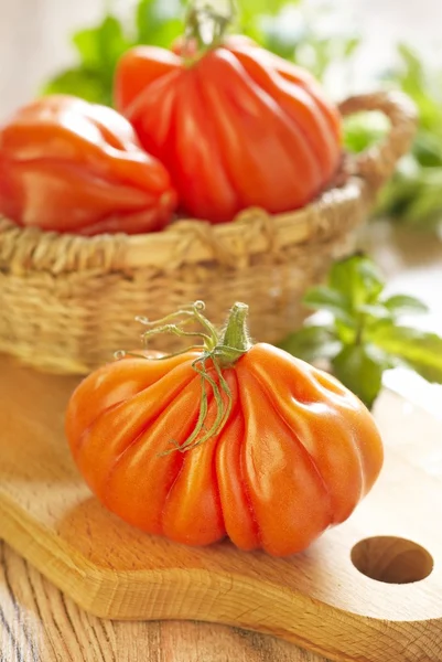 Färska stora tomater — Stockfoto
