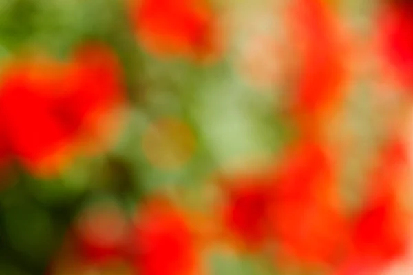 Yeşil ve kırmızı bulanık arka plan — Stok fotoğraf