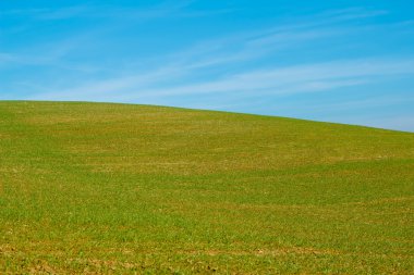 güzel sonbahar alan açık horizont ve mavi gökyüzü ile