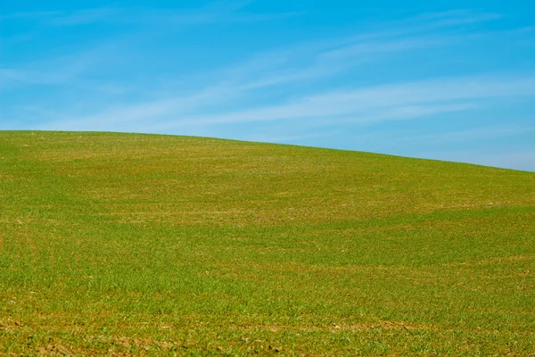 Красивое осеннее поле с ясным горизонтом и голубым небом — стоковое фото