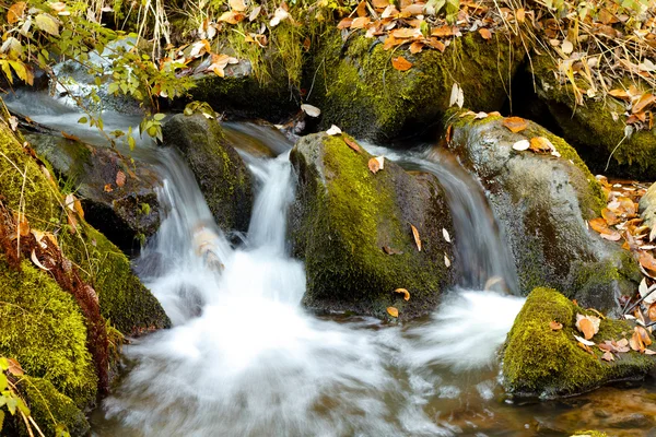 Falls on the small mountain river in a wood shooted in autumn — Stock Photo, Image