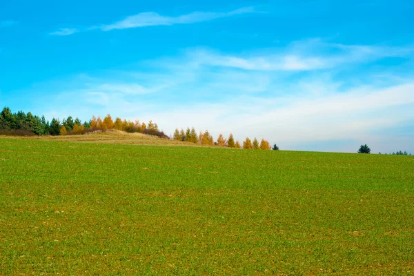 Красивое осеннее поле с голубым небом и облаками — стоковое фото
