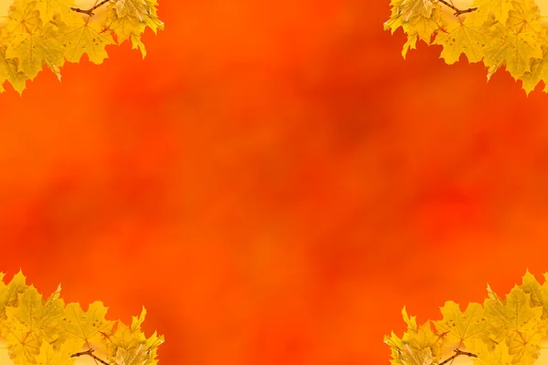 Autumn maple leaves empty frame with space for text — Stock Photo, Image
