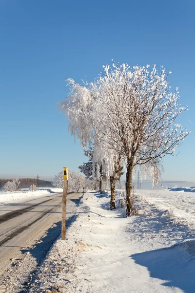 Kış Mavi Gökyüzü Güneşli Soğuk Bir Gün Yolda — Stok fotoğraf