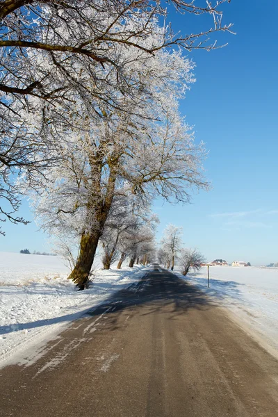 Зимняя Дорога Солнечный Морозный День Голубым Небом — стоковое фото