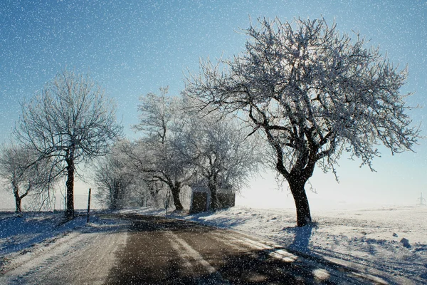 Winter scene met sneeuw, zon en blauwe lucht — Stockfoto