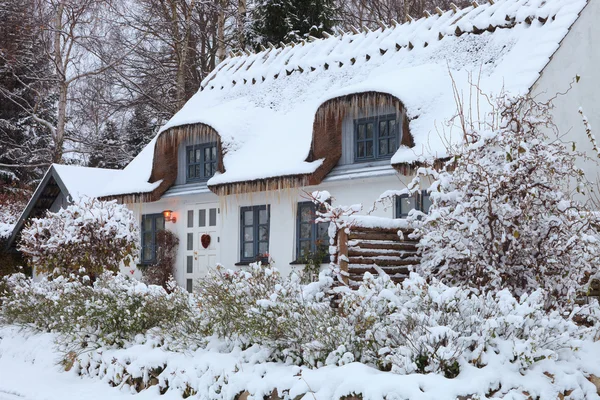 Snowy thatched cottage Stok Foto Bebas Royalti