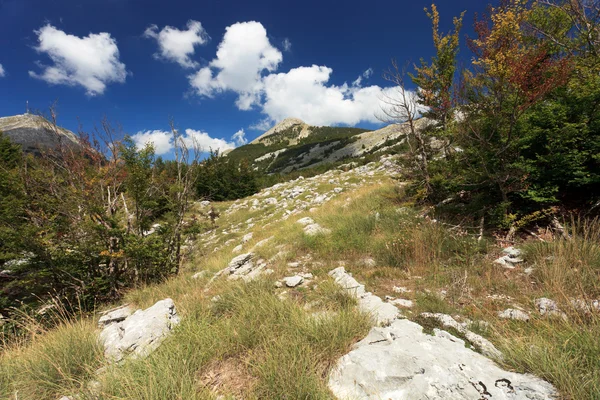 Černá Hora Národního Parku Lovčenu — Stock fotografie