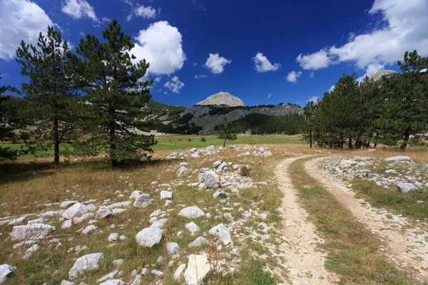 Jalur Kotor Taman Nasional Lovcen Montenegro — Stok Foto