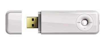 USB flaş belleği beyaz arkaplanda izole edildi.