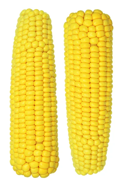 Cooked corn cob sweetcorn isolated on white — Stock Photo, Image