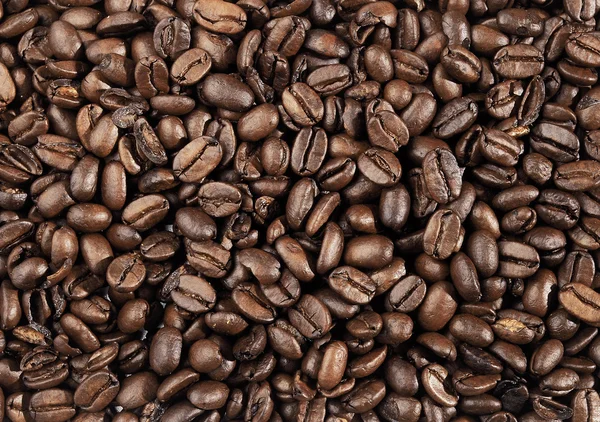 Tło elity ziaren kawy — Zdjęcie stockowe