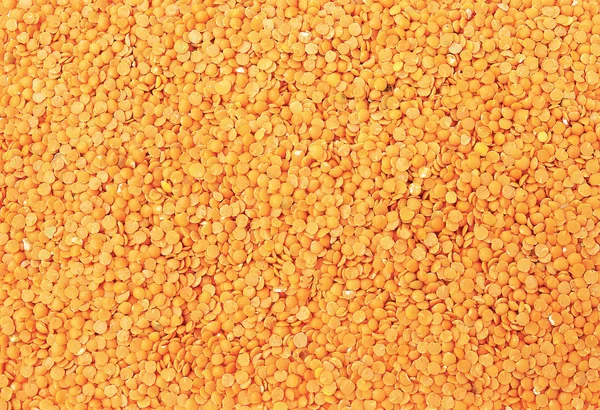 stock image Toor dal, famous Indian legume also called yellow Pigeon peas