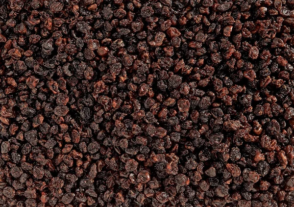 stock image Raisin background