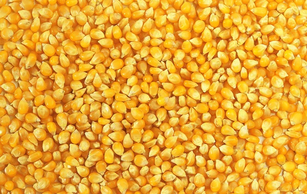 Солодка кукурудза. Кукурудза крупним планом безшовний фон . — стокове фото