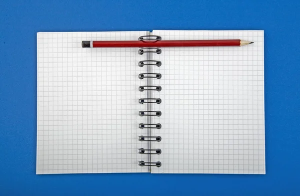 Aperto Vuoto Notebook Spirale Con Penna Sfondo Isolato — Foto Stock