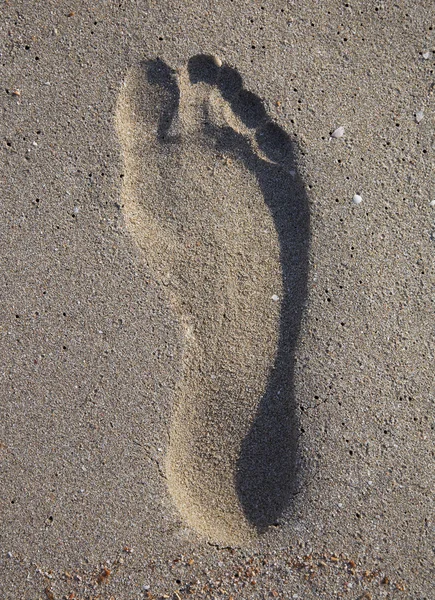 Imprint of human feet in the sand on the beach