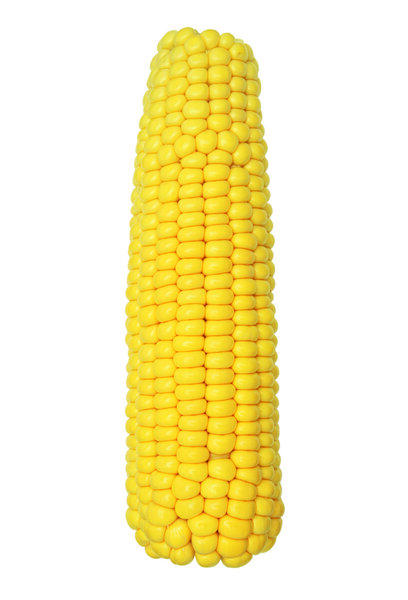 Cooked corn cob sweetcorn isolated on white background