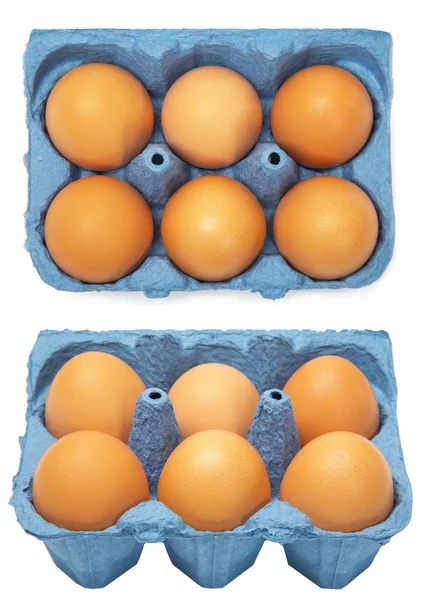 Bir kutu altı yumurta — Stok fotoğraf