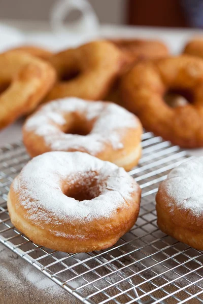 Doughnut with icing sugar — Stock Photo, Image