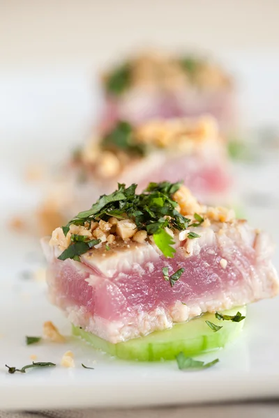 Aperitivo delicioso com atum — Fotografia de Stock
