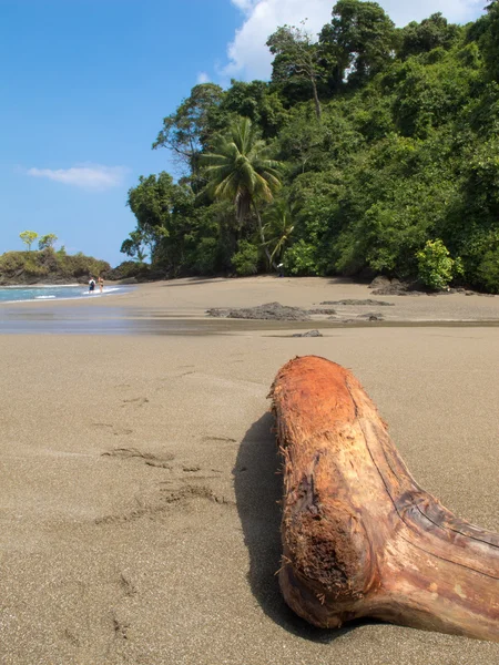 stock image Beautiful beach