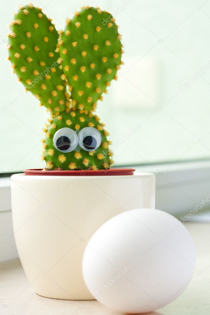 Bunny cactus and egg