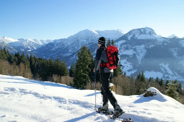 Schneeschuh Wanderung — Stok fotoğraf