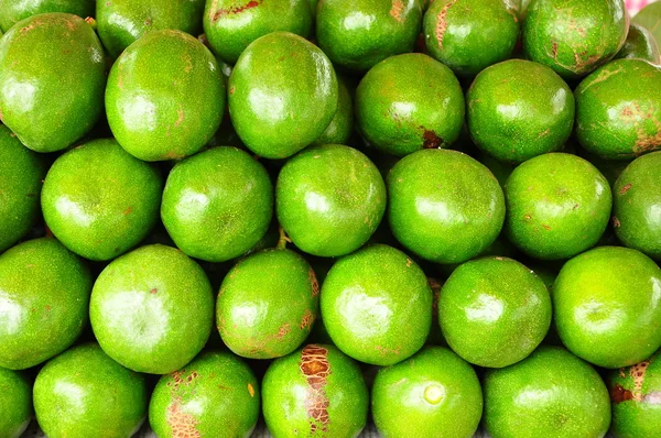 Avocado in thailand — Stock Photo, Image