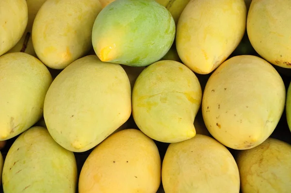 Mango color backgroung — Stock Photo, Image