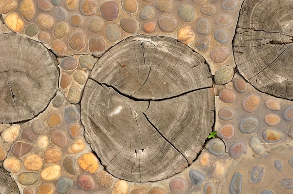 Průřez dřevěné umyvadlo v kamenné podlaze — Stock fotografie
