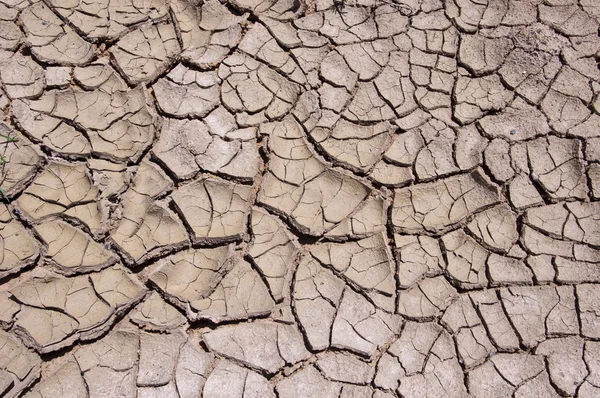 Arcilla suelo seco —  Fotos de Stock