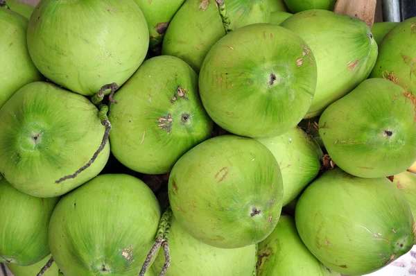 Zelený čerstvý kokos — Stock fotografie