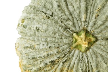 Kabak gibi en iyi Görünümü Kapat