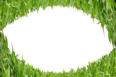 Eye shape grass clipart