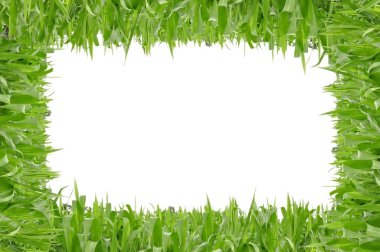 Polygon grass clipart