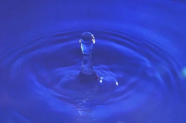 水液滴をクローズ アップ — ストック写真