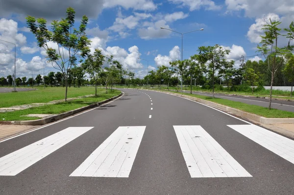Strada pedonale del traffico zebra — Foto Stock