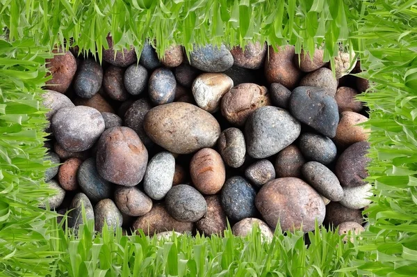 Grama e pedra — Fotografia de Stock