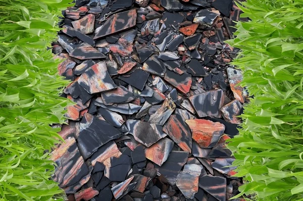 Forma de grama de fileira na frente da folha de pedra — Fotografia de Stock