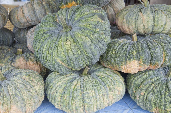 Fresh pumpkin 2 — Stock Photo, Image